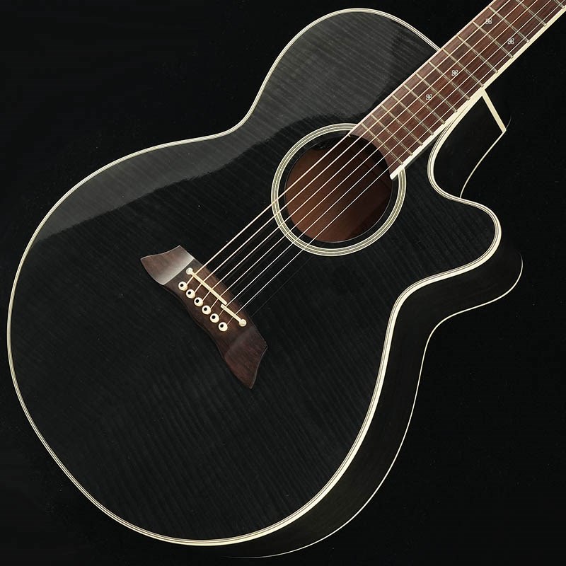TAKAMINE DSP110 SBLの画像